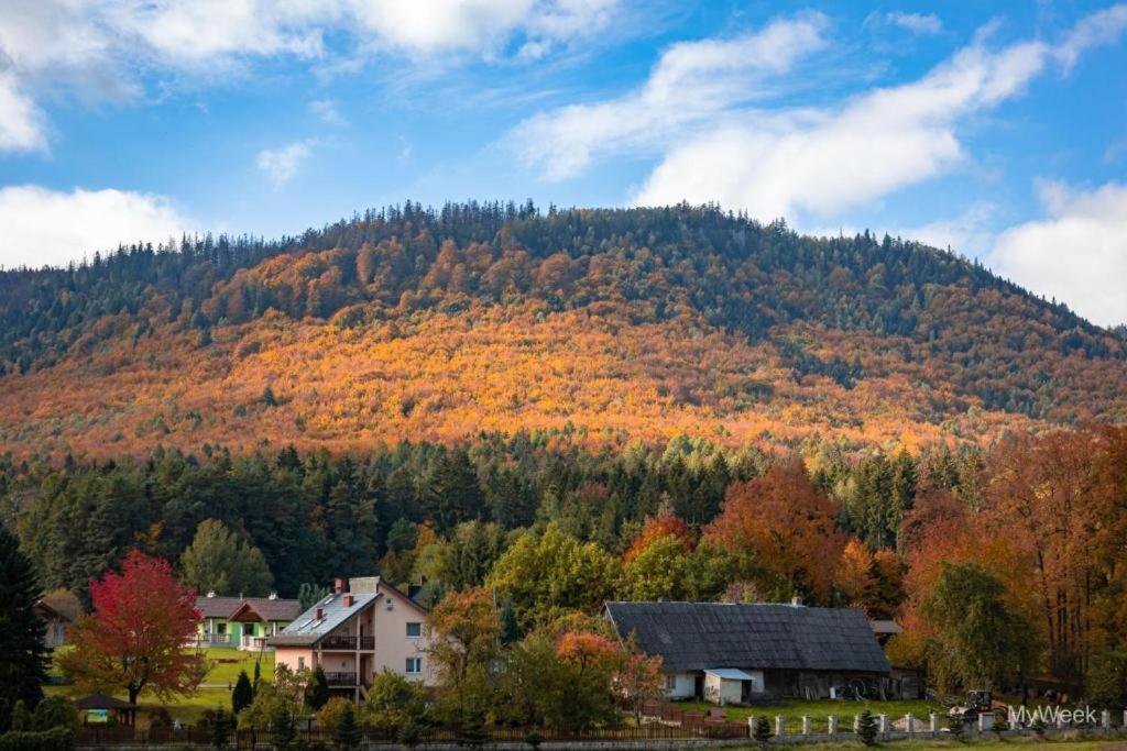 Domek Nad Zalewem Radkowskim Exterior foto