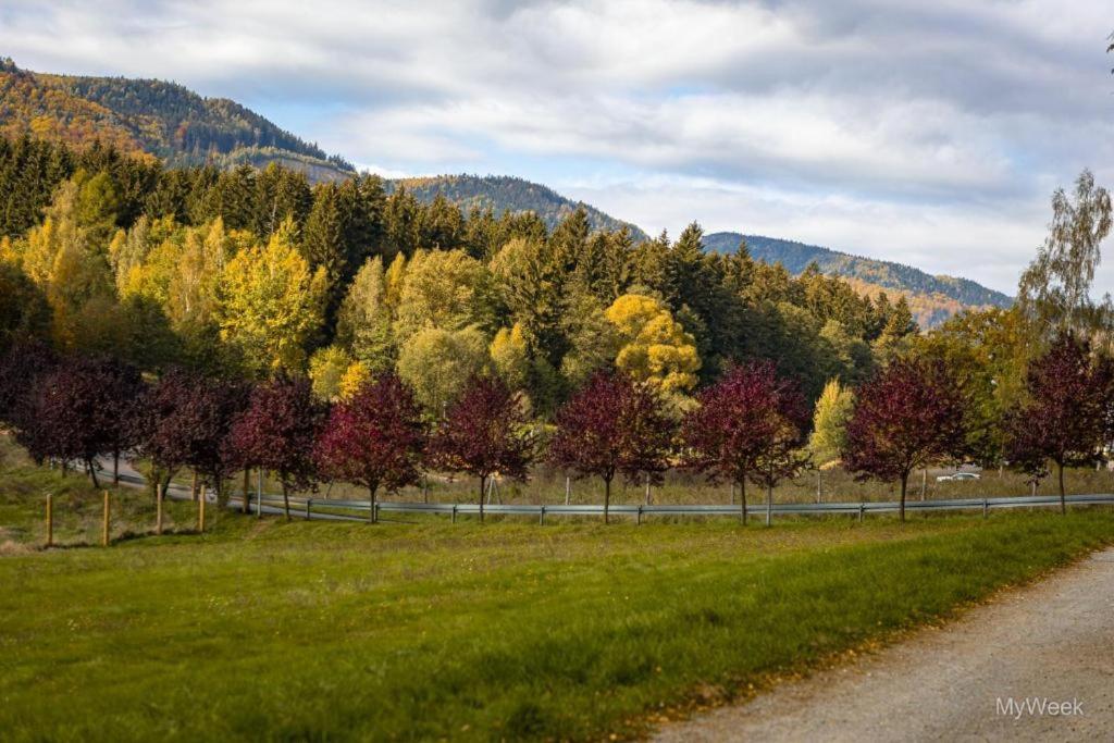Domek Nad Zalewem Radkowskim Exterior foto